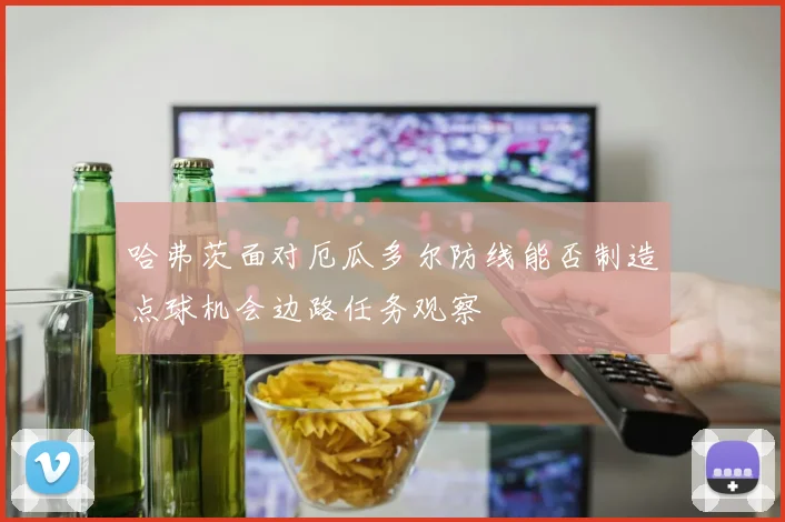 哈弗茨面对厄瓜多尔防线能否制造点球机会边路任务观察