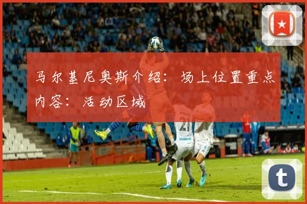 马尔基尼奥斯介绍:场上位置重点内容:活动区域