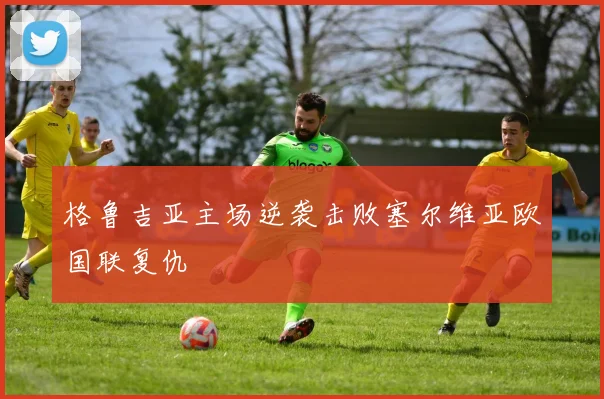 格鲁吉亚主场逆袭击败塞尔维亚欧国联复仇