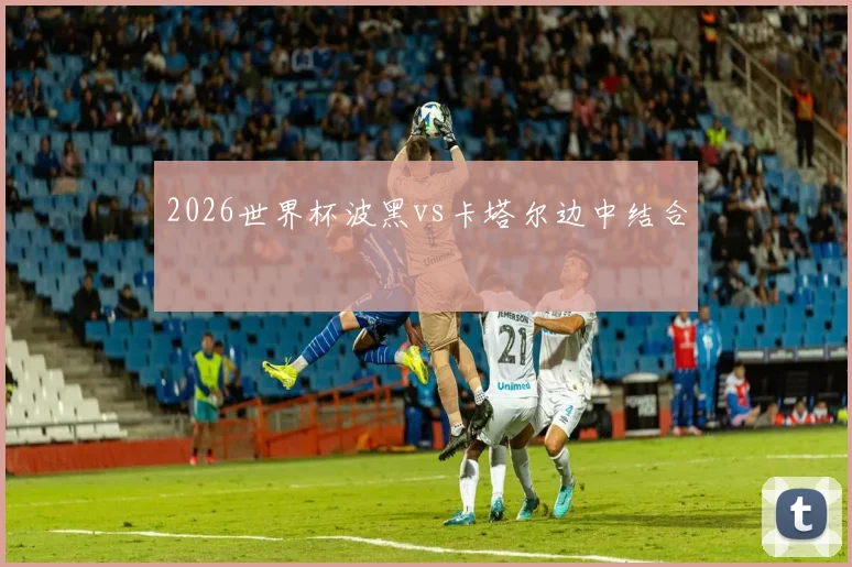 2026世界杯波黑vs卡塔尔边中结合