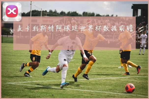 麦卡利斯特阿根廷世界杯数据前瞻