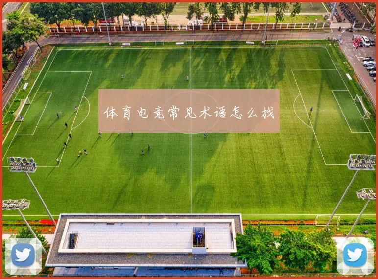 体育电竞常见术语怎么找
