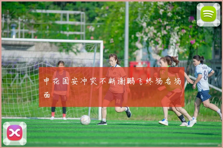 申花国安冲突不断谢鹏飞终场名场面