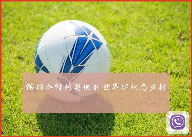 鲍姆加特纳奥地利世界杯状态分析