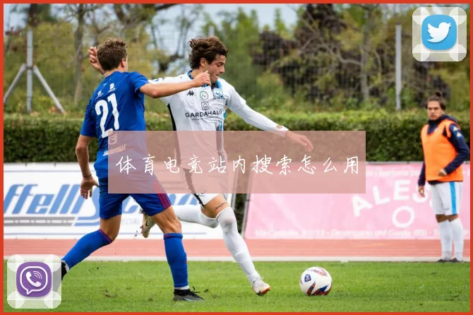 体育电竞站内搜索怎么用
