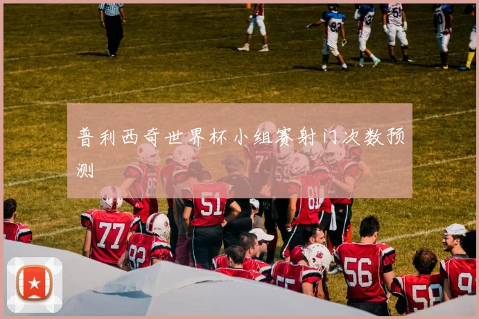普利西奇世界杯小组赛射门次数预测
